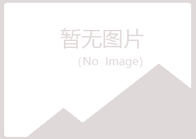 琼山敷衍音乐有限公司